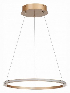 Подвесной светильник ST-Luce ST604 OUT ST604.243.22 в Губкинском - gubkinskiy.mebel24.online | фото 2