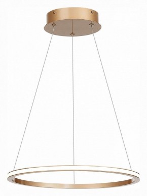Подвесной светильник ST-Luce ST604 OUT ST604.243.22 в Губкинском - gubkinskiy.mebel24.online | фото 3