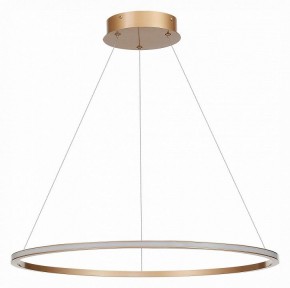 Подвесной светильник ST-Luce ST604 OUT ST604.243.34 в Губкинском - gubkinskiy.mebel24.online | фото 2