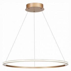 Подвесной светильник ST-Luce ST604 OUT ST604.243.34 в Губкинском - gubkinskiy.mebel24.online | фото 3