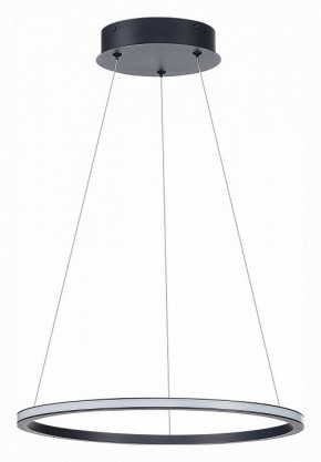 Подвесной светильник ST-Luce ST604 OUT ST604.443.22 в Губкинском - gubkinskiy.mebel24.online | фото 2