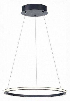 Подвесной светильник ST-Luce ST604 OUT ST604.443.22 в Губкинском - gubkinskiy.mebel24.online | фото 3