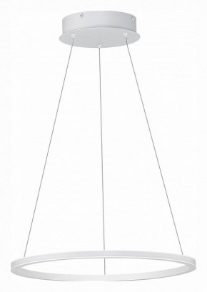 Подвесной светильник ST-Luce ST604 OUT ST604.543.22 в Губкинском - gubkinskiy.mebel24.online | фото 2