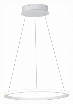 Подвесной светильник ST-Luce ST604 OUT ST604.543.22 в Губкинском - gubkinskiy.mebel24.online | фото 3