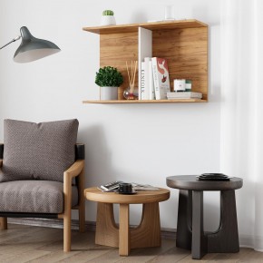 Полка Ион-3 (крафт/белый) в Губкинском - gubkinskiy.mebel24.online | фото 3