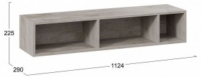 Полка навесная ТД-102.28 в Губкинском - gubkinskiy.mebel24.online | фото 8