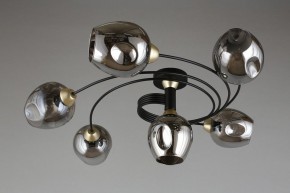 Потолочная люстра Aployt Flor APL.611.17.06 в Губкинском - gubkinskiy.mebel24.online | фото 1