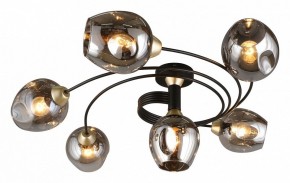 Потолочная люстра Aployt Flor APL.611.17.06 в Губкинском - gubkinskiy.mebel24.online | фото 13