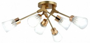Потолочная люстра Escada Felicia 1137/6P в Губкинском - gubkinskiy.mebel24.online | фото 2