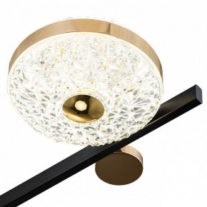 Потолочная люстра Escada Liberta 10219/6LED в Губкинском - gubkinskiy.mebel24.online | фото 6