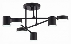 Потолочная люстра EVOLUCE Nobel SLE201042-06 в Губкинском - gubkinskiy.mebel24.online | фото 5