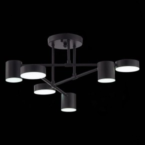 Потолочная люстра EVOLUCE Nobel SLE201042-06 в Губкинском - gubkinskiy.mebel24.online | фото 9