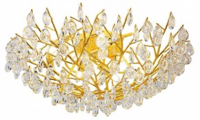 Потолочная люстра Favourite Pluvia 4162-10C в Губкинском - gubkinskiy.mebel24.online | фото 2