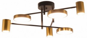 Потолочная люстра Kink Light Рапис 07645-6D,19(20) в Губкинском - gubkinskiy.mebel24.online | фото