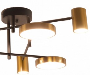 Потолочная люстра Kink Light Рапис 07645-6D,19(20) в Губкинском - gubkinskiy.mebel24.online | фото 2