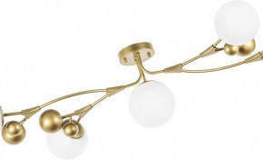 Потолочная люстра Lightstar Croco 815553 в Губкинском - gubkinskiy.mebel24.online | фото 6