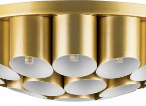 Потолочная люстра Lightstar Siena 720222 в Губкинском - gubkinskiy.mebel24.online | фото 3