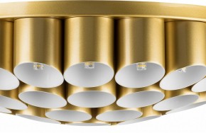 Потолочная люстра Lightstar Siena 720402 в Губкинском - gubkinskiy.mebel24.online | фото 3