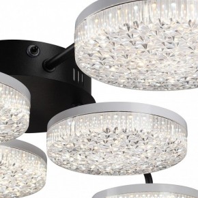 Потолочная люстра Lumion Didana 8236/6CL в Губкинском - gubkinskiy.mebel24.online | фото 9