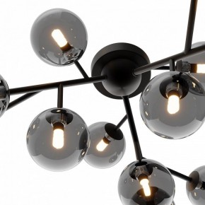 Потолочная люстра Maytoni Dallas MOD545CL-12B в Губкинском - gubkinskiy.mebel24.online | фото 3