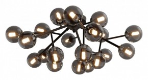 Потолочная люстра Maytoni Dallas MOD545CL-20B в Губкинском - gubkinskiy.mebel24.online | фото 2