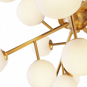 Потолочная люстра Maytoni Dallas MOD545CL-20BS в Губкинском - gubkinskiy.mebel24.online | фото 2