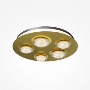 Потолочная люстра Maytoni Pharao MOD361CL-L58BS3K в Губкинском - gubkinskiy.mebel24.online | фото