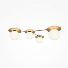 Потолочная люстра Maytoni Star sky MOD291CL-04BS в Губкинском - gubkinskiy.mebel24.online | фото 2