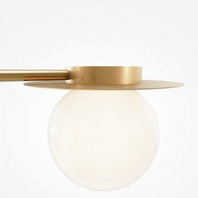 Потолочная люстра Maytoni Star sky MOD291CL-04BS в Губкинском - gubkinskiy.mebel24.online | фото 5