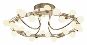 Потолочная люстра Maytoni Tessara MOD081CL-L36G3K в Губкинском - gubkinskiy.mebel24.online | фото 2