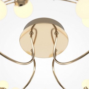 Потолочная люстра Maytoni Tessara MOD081CL-L36G3K в Губкинском - gubkinskiy.mebel24.online | фото 4