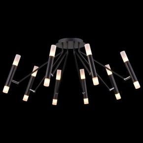 Потолочная люстра Maytoni Vigo MOD620CL-16B в Губкинском - gubkinskiy.mebel24.online | фото 4