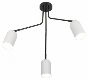 Потолочная люстра Rivoli Rosalinda Б0064987 в Губкинском - gubkinskiy.mebel24.online | фото 4