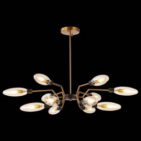 Потолочная люстра ST-Luce Desima SL1174.303.12 в Губкинском - gubkinskiy.mebel24.online | фото 2