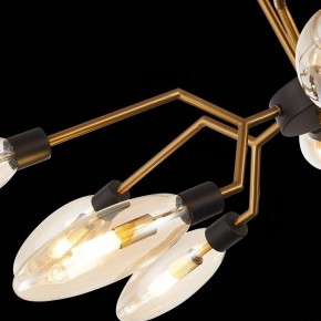 Потолочная люстра ST-Luce Desima SL1174.303.12 в Губкинском - gubkinskiy.mebel24.online | фото 9