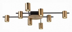 Потолочная люстра ST-Luce Veroli SL1207.402.08 в Губкинском - gubkinskiy.mebel24.online | фото 2