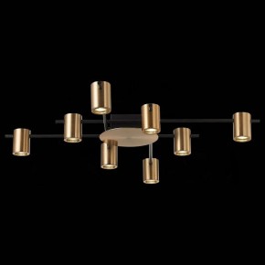 Потолочная люстра ST-Luce Veroli SL1207.402.08 в Губкинском - gubkinskiy.mebel24.online | фото 4