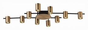 Потолочная люстра ST-Luce Veroli SL1207.402.10 в Губкинском - gubkinskiy.mebel24.online | фото 2