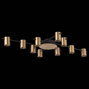 Потолочная люстра ST-Luce Veroli SL1207.402.10 в Губкинском - gubkinskiy.mebel24.online | фото 3