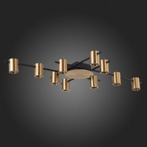 Потолочная люстра ST-Luce Veroli SL1207.402.10 в Губкинском - gubkinskiy.mebel24.online | фото 4