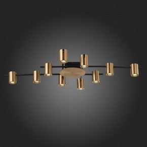 Потолочная люстра ST-Luce Veroli SL1207.402.10 в Губкинском - gubkinskiy.mebel24.online | фото 6