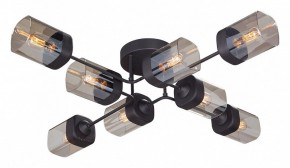 Потолочная люстра Vitaluce 4889 V4889-1/8PL в Губкинском - gubkinskiy.mebel24.online | фото