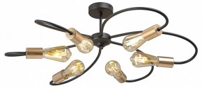 Потолочная люстра Vitaluce V3076 V3076-1/6PL в Губкинском - gubkinskiy.mebel24.online | фото 3
