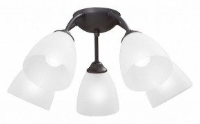 Потолочная люстра Vitaluce V3184 V3737-2/5PL в Губкинском - gubkinskiy.mebel24.online | фото