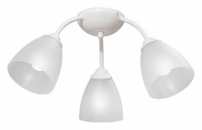 Потолочная люстра Vitaluce V3737 V3737-0/3PL в Губкинском - gubkinskiy.mebel24.online | фото
