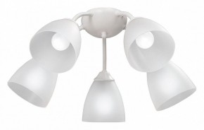 Потолочная люстра Vitaluce V3737 V3737-0/5PL в Губкинском - gubkinskiy.mebel24.online | фото