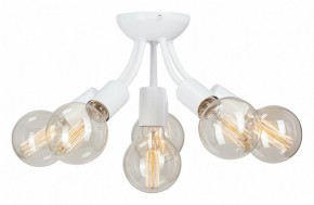 Потолочная люстра Vitaluce V3927 V3927-0/6PL в Губкинском - gubkinskiy.mebel24.online | фото