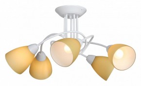 Потолочная люстра Vitaluce V3955 V3955-0/5PL в Губкинском - gubkinskiy.mebel24.online | фото 2