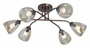 Потолочная люстра Vitaluce  V4954-7/6PL в Губкинском - gubkinskiy.mebel24.online | фото