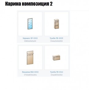 Прихожая Карина (модульная) в Губкинском - gubkinskiy.mebel24.online | фото 6